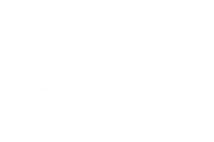Icon of a Document featuring a shield with a question mark on it and a circle with a check mark.